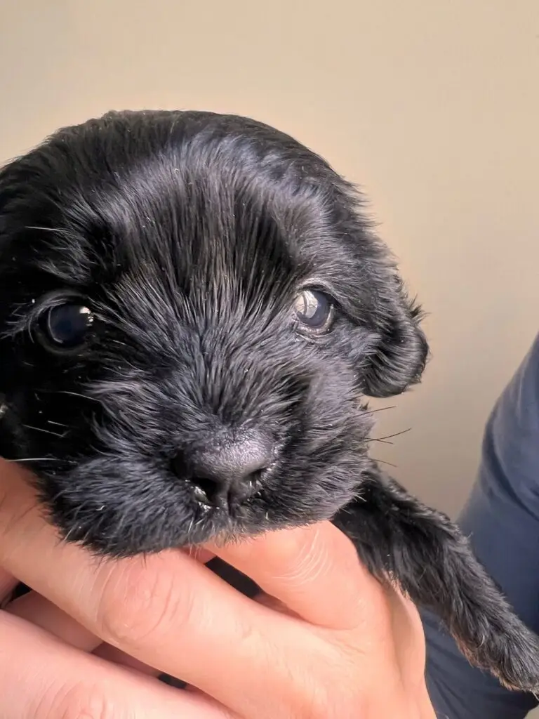 2025 03 27 21 21 img 8550