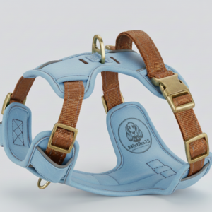 Un harnais en cuire bleu claire durable pour animaux de compagnie
