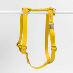 harnais stitou jaune