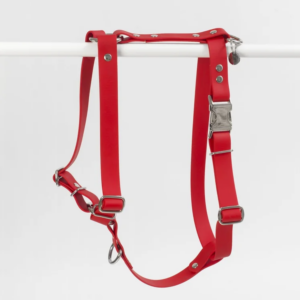 harnais stitou rouge