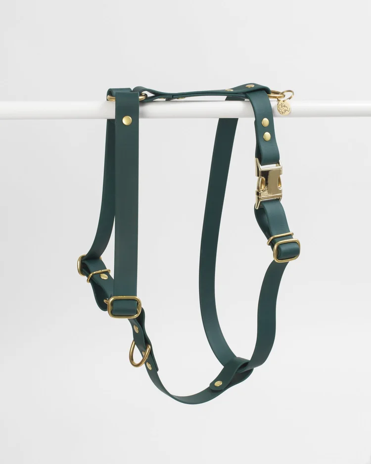 harnais stitou vert sombre harnais stitou vert sombre